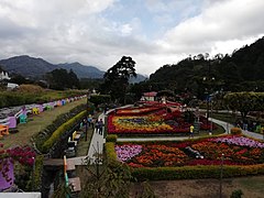 Feria de las Flores y el Café de Boquete 2019.jpg