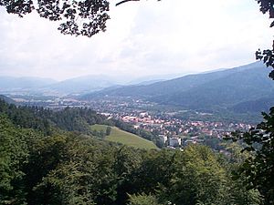 34 : Fribourg-en-Brisgau