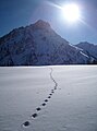 Giebel aus Sicht des Schwarzenberges