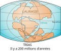 Carte des terres émergées au Trias, montrant deux supercontinents, la Laurasia et le Gondwana.