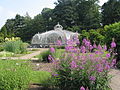 La Serre Balat - Jardin National Botanique de Belgique à Meise.