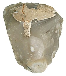 A sample of Miorcani flint