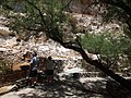 Montezuma Castle