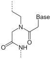 Deutsch: Struktur eines PNA-Monomers English: Structure of a PNA monomer