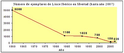 Evolución da poboación de linces en España (1960–2007) [41]