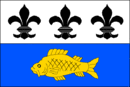 Drapeau de Řepice