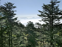 峨眉山2013-10-09刘祖赛 - panoramio.jpg