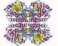 Vignette pour Acyl-coenzyme A déshydrogénase