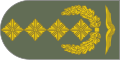 Naramiennik stopnia General (Luftwaffe).