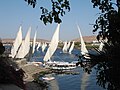 Feluccaboats on the river Nile