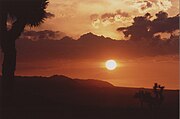 Summer sunset High Desert, California