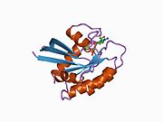 121p: STRUKTUR UND GUANOSINTRIPHOSPHAT-HYDROLYSEMECHANISMUS DES C-TERMINAL VERKUERZTEN MENSCHLICHEN KREBSPROTEINS P21-H-RAS