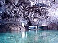 Interior das Grutas de São Vicente