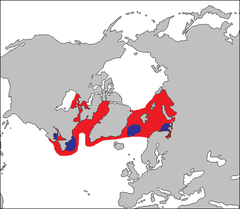 Mapa występowania