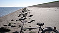 Turisto dviratis Tekselyje su ilgu nuošalaus paplūdimio krantu fone