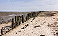 Uitzicht op de Waddenzee achter de zeedijk bij Paesens-Moddergat richting Schiermonnikoog