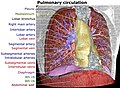 Pulmonary circulation