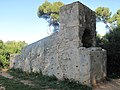 Île Saint-Honorat, France.