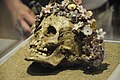 Girl buried with a crown of ceramic flowers (300–400 B.C.), Patras Archaeological Museum