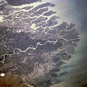 Delta de l'Indus, dominat pels processos mareals