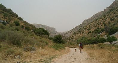 Eastern part of Wadi Dishon in the north of the country