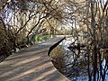 Lagoa de San Martiño.