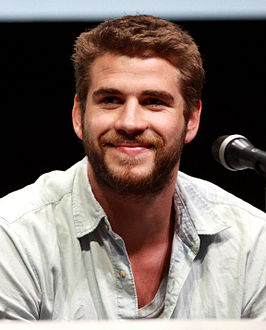 Liam Hemsworth in 2013