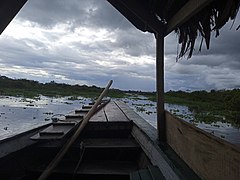 Sacarita en el lago Moronacocha.jpg