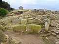 La nécropole mégalithique de la Pointe du Souc'h, vue d'ensemble des dolmens 2