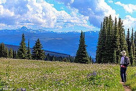 Columbia Mountains}}, looking toward Dunn Peak, 2,636 metres (8,648 ft)