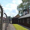 Electrified Fence & Guard Tower J