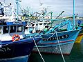 Port de Saint-Guénolé-Penmarch : chalutiers côtiers à quai