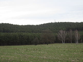 Dubrower Berge aus Südwest