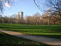 Green Park on a Winter Day