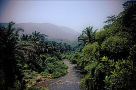 Nyamirwa River In Bunyakiri, Kalehe Territory, DR Congo.jpg