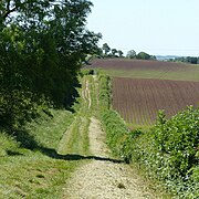 Old Hill Lane - geograph.org.uk - 6493827.jpg