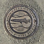 Palmerston North koaro drain MRD.jpg