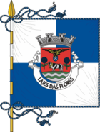 Flagge von Lajes das Flores