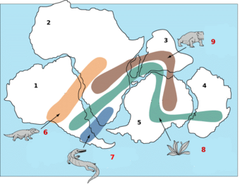 Títol: 1-Amèrica del Sud 2-Àfrica; 3-Índia; 4-Austràlia; 5-Antàrtida; 6-Restes fòssils de Cynognathus, rèptil terrestre del Triàsic, d'aproximadament 3m de llargada; 7- Restes fòssils del rèptil d'aigua dolça Mesosaurus; 8-El fòssil de la falguera Glossopteris trobat a tots els continents del sud mostren que alguna vegada es van unir; 9-Evidència fòssil del rèptil terrestre del Triàsic Lystrosaurus