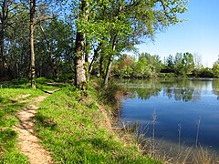 Lagos des Quinze Sols, en Blagnac, unas antiguas graveras hoy lugar de esparcimiento y recreo