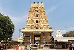 Gopuram of Dwaraka Thirumala temple