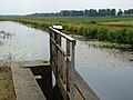 Kanaal Buinen-Schoonoord