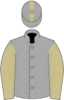 Dark grey, beige sleeves and stripe on cap
