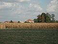 Paesaggio rurale con villa Grazia sullo sfondo.