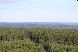 Vue de la Croix-Scaille depuis la tour du Millénaire à Gedinne.