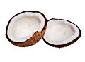 Coconut