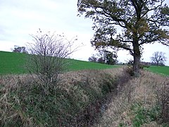 Drainage ditch near Warlaby - geograph.org.uk - 2709102.jpg