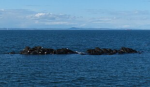 Little Ox rocks in the Firth of Forth - geograph.org.uk - 5795617.jpg