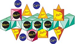 Idealized structure for Zn-rich vernadite nanosheets precipitated in the epidermis of grass roots.