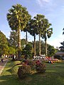 Putrajaya Botanical Garden (190831-1746)